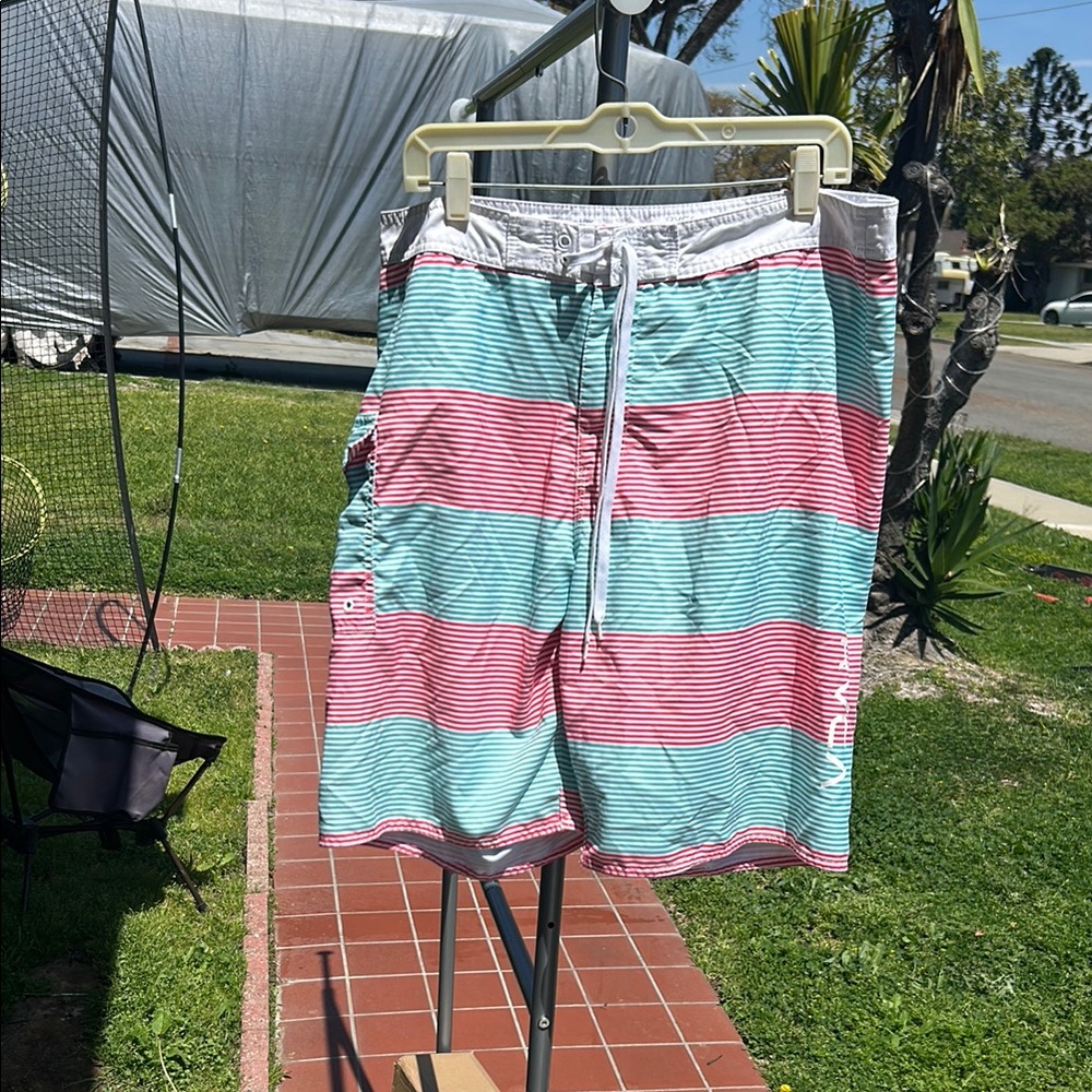 Striped Swim Shorts in Red and Teal
